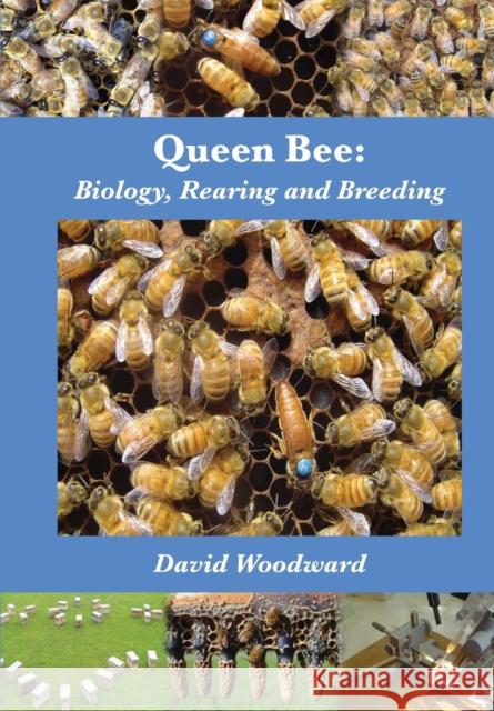 Queen Bee: Biology, Rearing and Breeding Woodward, David R. 9781904846352