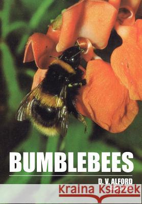 Bumble Bees D V Alford 9781904846802 Northern Bee Books