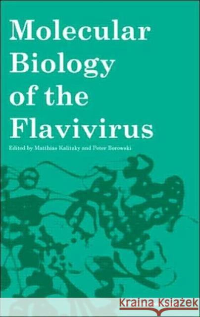 Molecular Biology of the Flavivirus Matthias Kalitzky Peter Borowski 9781904933229