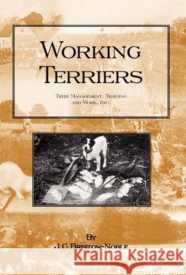 Working Terriers - Their Management, Training and Work, Etc. Bristow-Noble, J. C. 9781905124015 Read Country Books