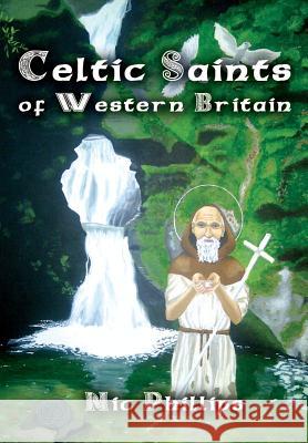 Celtic Saints of Western Britain Nic Phillips Nic Phillips  9781905297870 Avalonia