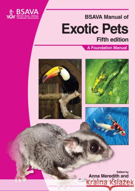 BSAVA Manual of Exotic Pets: A Foundation Manual Meredith, Anna 9781905319169