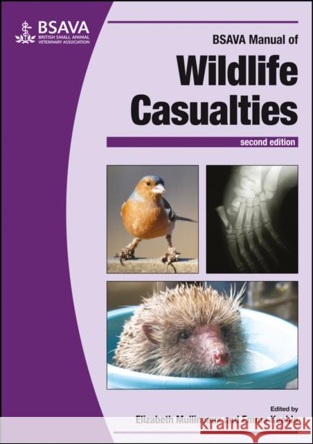 BSAVA Manual of Wildlife Casualties Mullineaux, Elizabeth 9781905319800