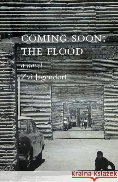 Coming Soon: The Flood Zvi Jagendorf 9781905559923 Peter Halban Publishers Ltd