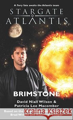 STARGATE ATLANTIS Brimstone Wilson, David Niall 9781905586202