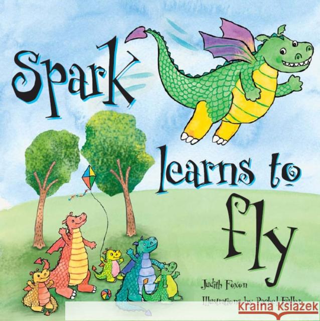 Spark Learns to Fly Judith Foxon, Rachel Fuller 9781905664184