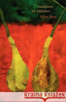 Analfabeto an Alphabet Ellen Baxt 9781905700363 Shearsman Books