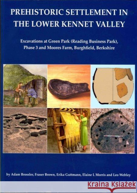 Prehistoric Settlement in the Lower Kennet Valley: Excavations at Green Park (Reading Business Park) Phase 3 and Moores Farm, Burghfield, Berkshire Brossler, Adam 9781905905294 Oxford Archaeological Unit