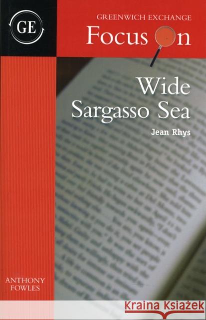 Wide Sargasso Sea by Jean Rhys Anthony Fowles 9781906075347