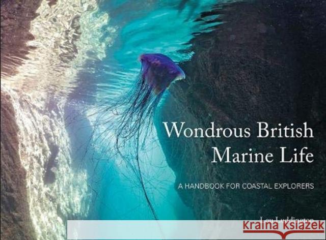 Wondrous British Marine Life: A handbook for coastal explorers Lou Ludington 9781906095703