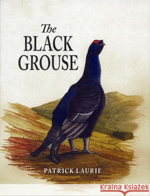 The Black Grouse Patrick Laurie 9781906122430 Merlin Unwin Books