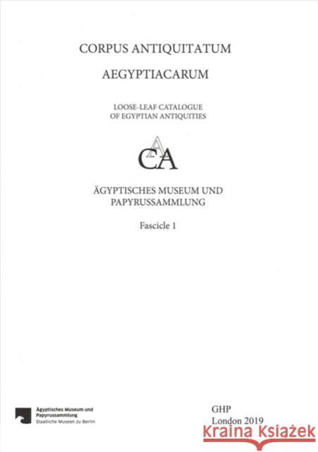 Stelae of the Middle Kingdom and the Second Intermediate Period: Ägyptisches Museum Und Papyrussammlung, Staatliche Museen Zu Berlin Satzinger, Helmut 9781906137632 Golden House Publications