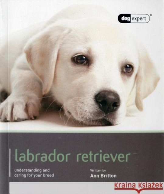 Labrador - Dog Expert Britton, Ann 9781906305581