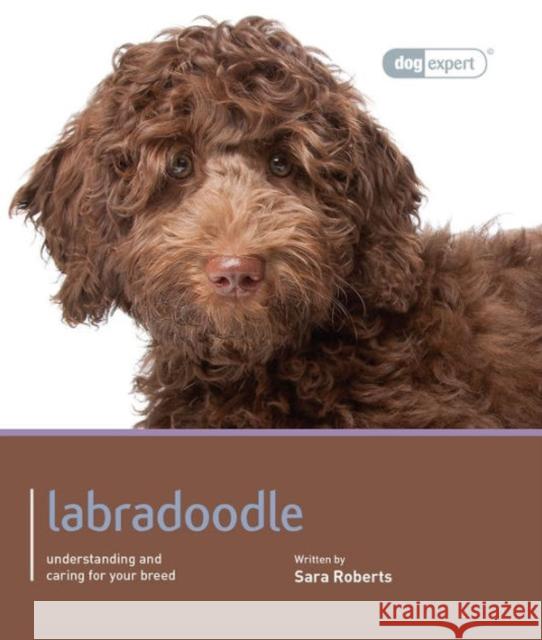 Labradoodle - Dog Expert ROGERS, SARAH 9781906305734