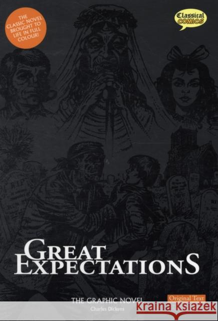 Great Expectations The Graphic Novel: Original Text Charles Dickens 9781906332099 Classical Comics
