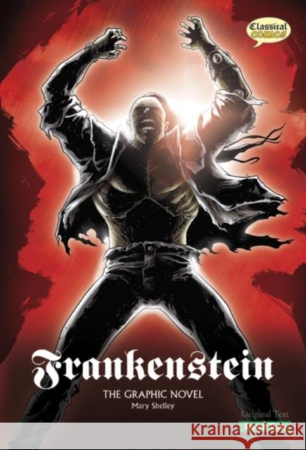 Frankenstein The Graphic Novel: Quick Text Mary Shelley 9781906332167 Classical Comics