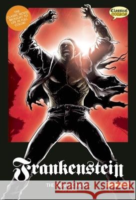 Frankenstein the Graphic Novel: Original Text Mary Wollstonecraft Shelley 9781906332495