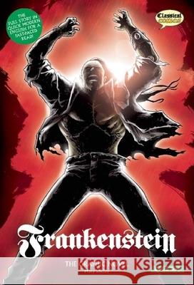 Frankenstein the Graphic Novel: Quick Text Shelley, Mary 9781906332501