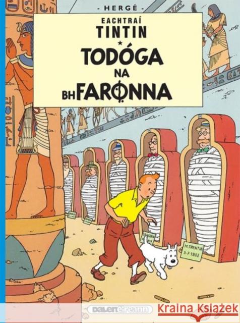 Tintin: Todoga Na Bhfaronna (Irish) Herge 9781906587451