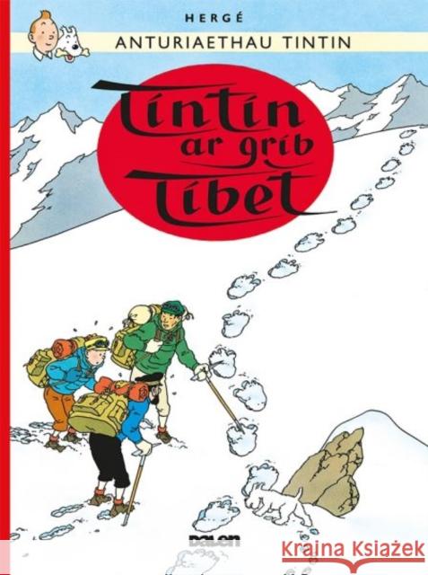 Tintin: Tintin ar Grib Tibet Dafydd Herge 9781906587833 