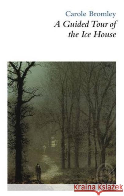 A Guided Tour of the Ice House Carole Bromley 9781906613310 Smith/Doorstop Books