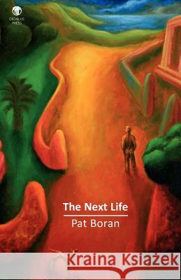 The Next Life Pat Boran 9781906614553 0