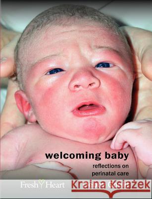 Welcoming Baby: Reflections on Perinatal Care Gould, Debby 9781906619169 Fresh Heart Publishing