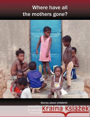 Where Have All the Mothers Gone? Stories of Courage and Hope During Childbirth Among the World's Poorest Women Chamberlain Froese, Jean 9781906619268 Fresh Heart Publishing