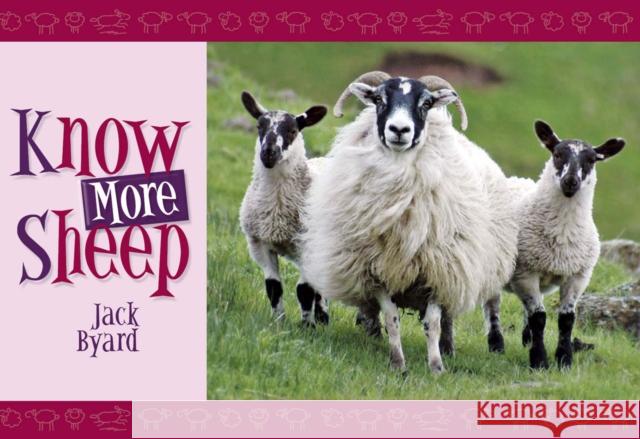 Know More Sheep Jack Byard 9781906853006