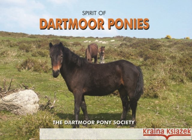 Spirit of Dartmoor Ponies Dartmoor Pony Society 9781906887230 PiXZ Books