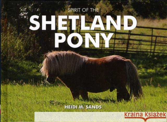 Spirit of the Shetland Pony Heidi M. Sands 9781906887599 HALSGROVE PUBLISHING