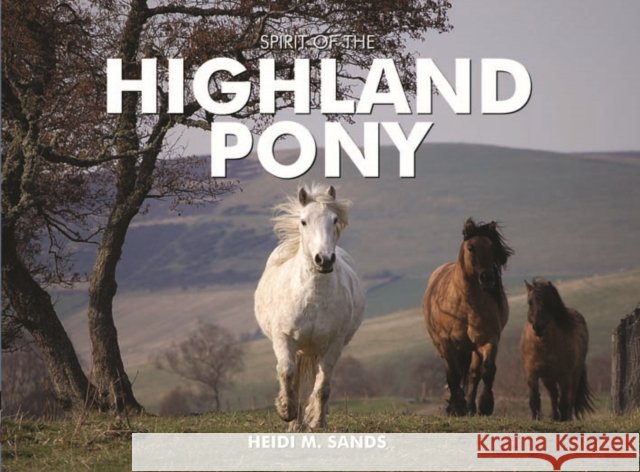 Spirit of the Highland Pony Heidi M. Sands 9781906887766 PiXZ Books