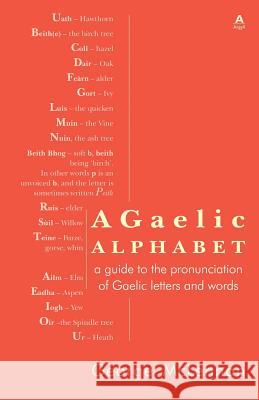 A Gaelic Alphabet: a guide to the pronunciation of Gaelic letters and words McLennan, George 9781907165344 New Argyll Publishing