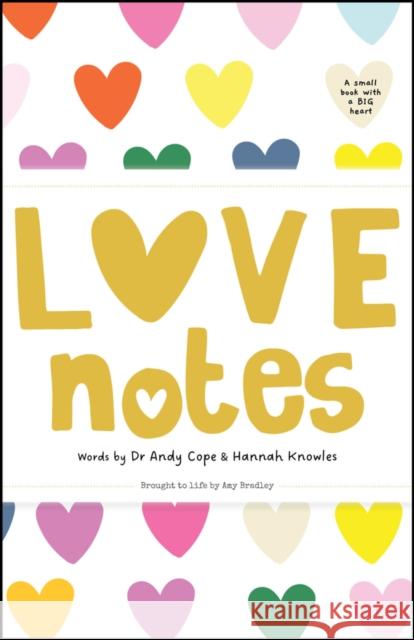 Love Notes Hannah Knowles 9781907312953
