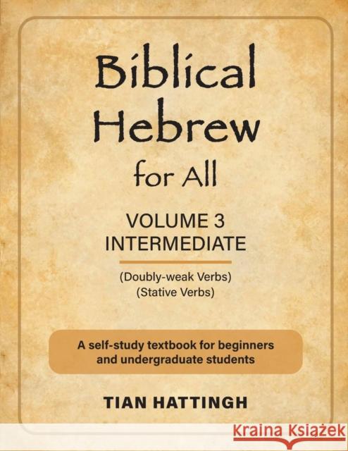 Biblical Hebrew for All: Volume 3 (Intermediate) - Second Edition Tian Hattingh, Prof J C John Lübbe 9781907313486 London Press