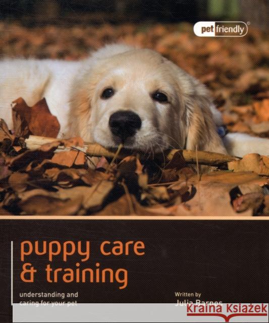 Puppy Training & Care - Pet Friendly Barnes, Julia 9781907337130