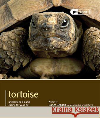 Tortoise - Pet Expert : Understanding and Caring for Your Pet Jepson, Lance 9781907337147 