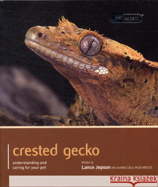 Crested Gecko - Pet Expert: Understanding and Caring for Your Pet Jepson, Lance 9781907337161 