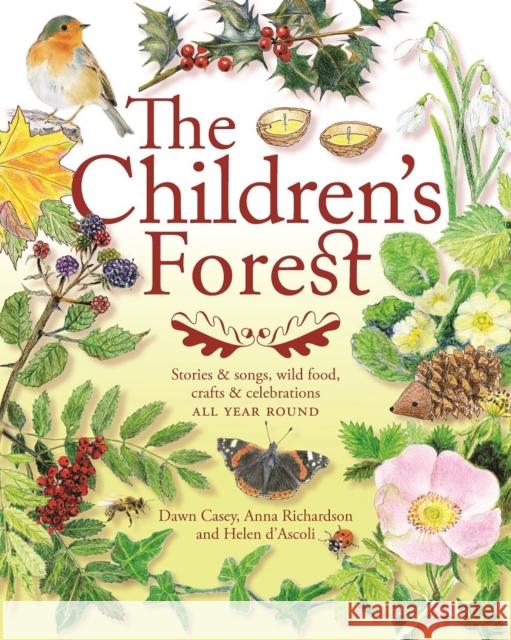 The Children's Forest: Stories and songs, wild food, crafts and celebrations ALL YEAR ROUND Dawn Casey, Anna Richardson, Helen d'Ascoli 9781907359910 Hawthorn Press