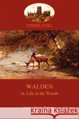 Walden Thoreau, Henry David 9781907523427