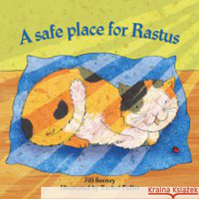 A Safe Place for Rufus Jill Seeney, Rachel Fuller 9781907585456 CoramBAAF