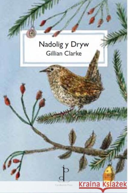 Nadolig y Dryw (The Christmas Wren) Gillian Clarke 9781907598371