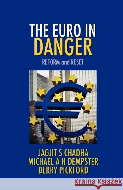 The Euro in Danger Jagjit S. Chadha Michael A. H. Dempster Derry Pickford 9781907720635