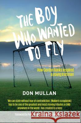 The Boy Who Wanted To Fly Don Mullan 9781907756016