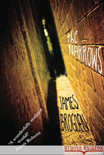 The Narrows James Brogden 9781907777592