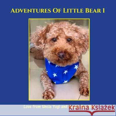 Adventures of Little Bear 1: Book 1 Auntie Boo Boo, Uncle Yogi 9781908035127 Bookinars.IO