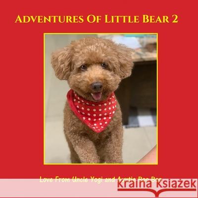 Adventures of Little Bear 2: Book 2 Auntie Bo Uncle Yogi 9781908035202 Bookinars.IO