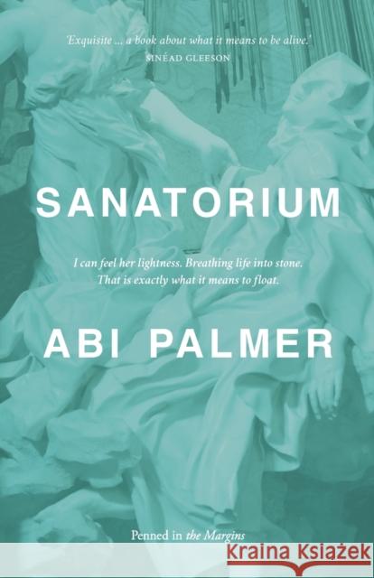 Sanatorium Abi Palmer 9781908058713