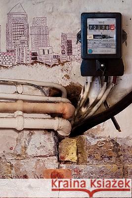 Automatic Safe Dog (Paperback) Jet McDonald 9781908125019 Eibonvale Press