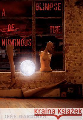 A Glimpse of the Numinous Jeff Gardiner 9781908125101